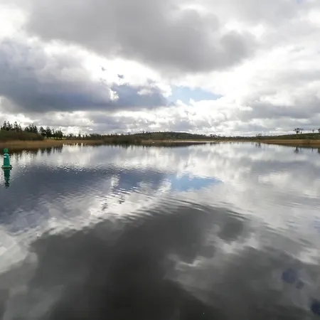 Gort Farm *