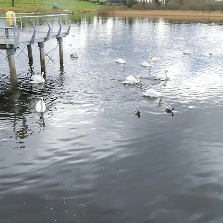 Gort Farm Holiday home