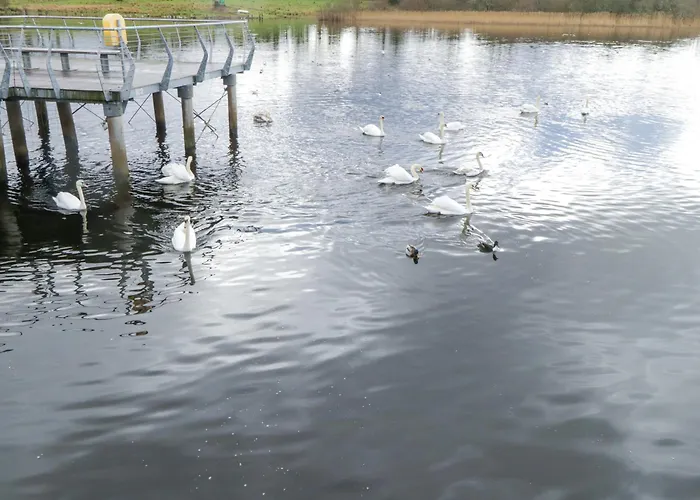 Gort Farm Ferienhaus